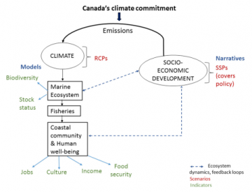 Scenarios for investigating the future of Canada’s oceans and marine fisheries under environmental and socioeconomic change