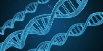Vast majority of patents on marine genetic sequences linked to corporations