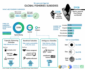 Ask an Expert: Why is the global fishing industry given $35 billion in subsidies each year?