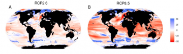 Comprehensive global analysis shows a warmer ocean will hold fewer animals