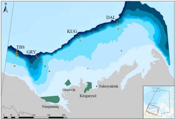 New Paper: Historical climate drivers and species’ ecological niche in the Beaufort Sea food web